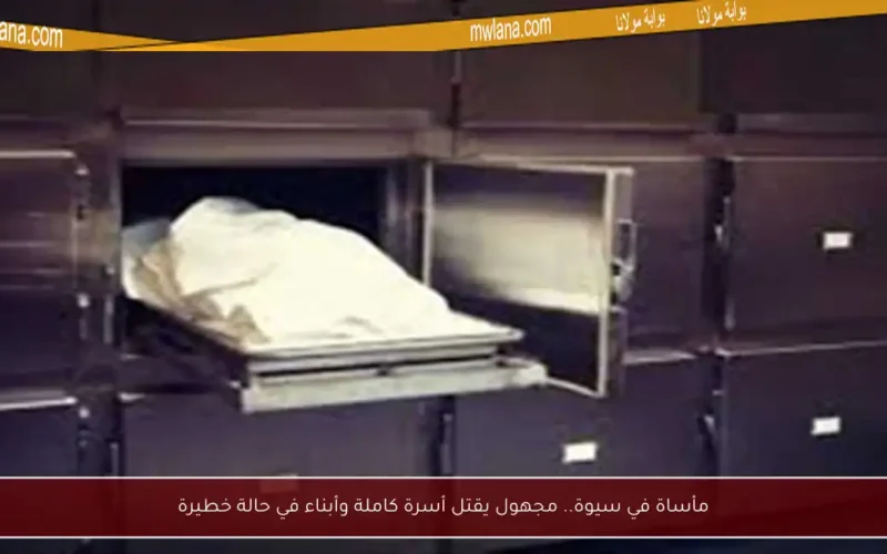 مأساة في سيوة.. مجهول يقتل أسرة كاملة وأبناء في حالة خطيرة