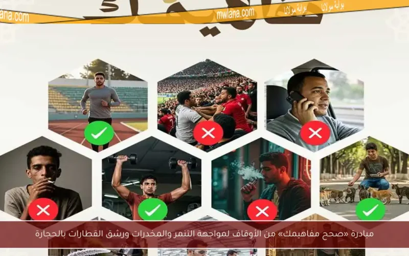 مبادرة «صحح مفاهيمك» من الأوقاف لمواجهة التنمر والمخدرات ورشق القطارات بالحجارة
