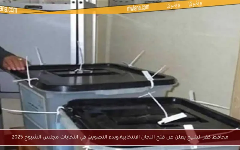 محافظ كفر الشيخ يعلن عن فتح اللجان الانتخابية وبدء التصويت في انتخابات مجلس الشيوخ 2025