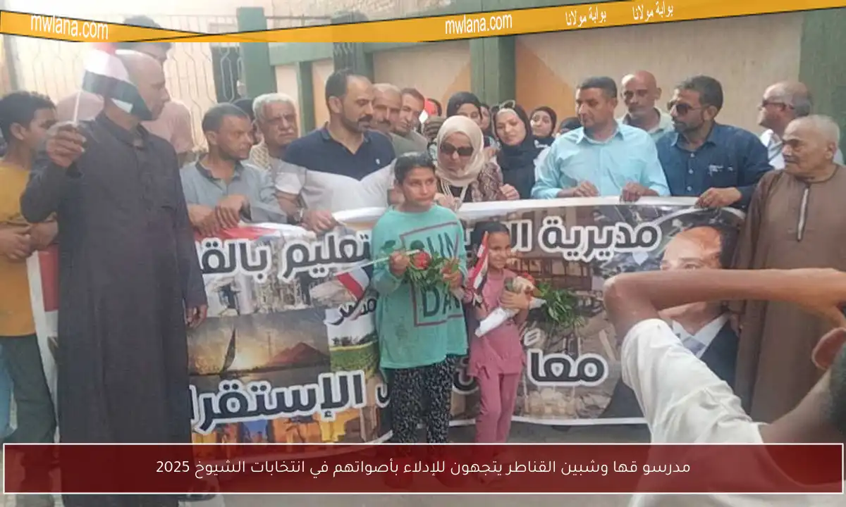 مدرسو قها وشبين القناطر يتجهون للإدلاء بأصواتهم في انتخابات الشيوخ 2025