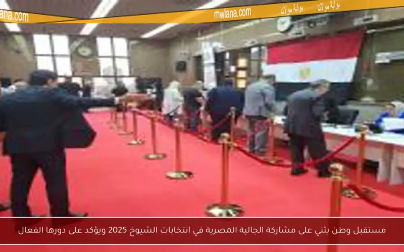 مستقبل وطن يثني على مشاركة الجالية المصرية في انتخابات الشيوخ 2025 ويؤكد على دورها الفعال