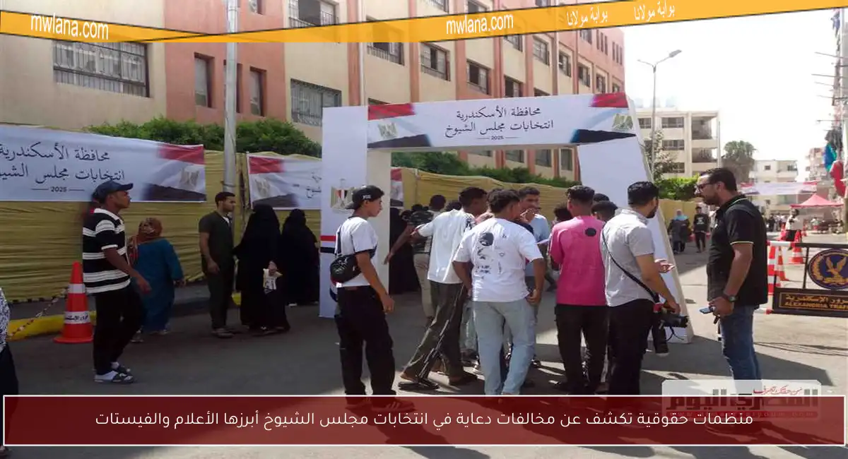 منظمات حقوقية تكشف عن مخالفات دعاية في انتخابات مجلس الشيوخ أبرزها الأعلام والفيستات