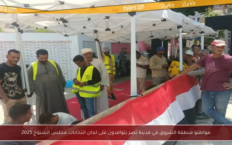 مواطنو منطقة الشروق في مدينة نصر يتوافدون على لجان انتخابات مجلس الشيوخ 2025