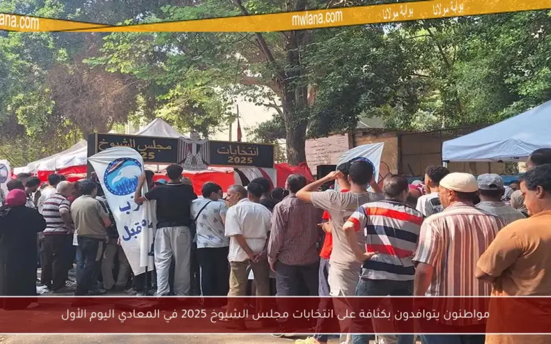 مواطنون يتوافدون بكثافة على انتخابات مجلس الشيوخ 2025 في المعادي اليوم الأول