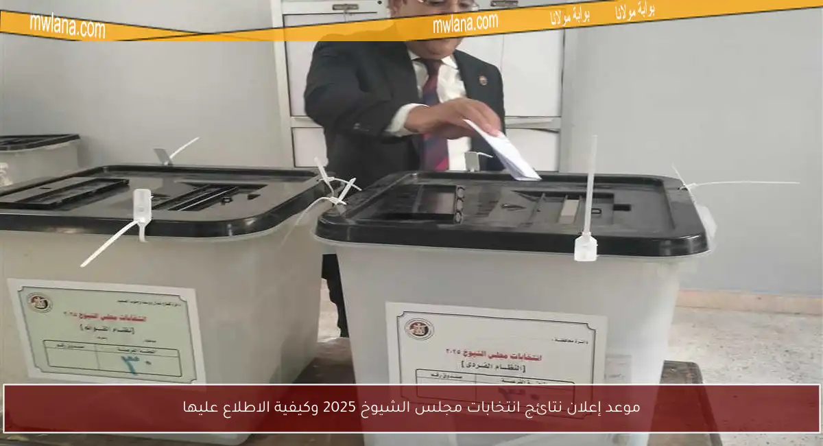 موعد إعلان نتائج انتخابات مجلس الشيوخ 2025 وكيفية الاطلاع عليها