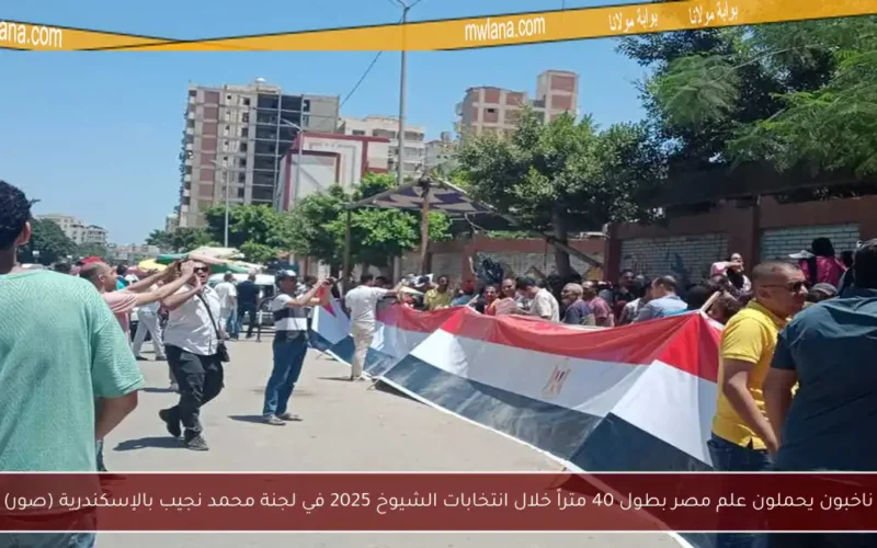 ناخبون يحملون علم مصر بطول 40 متراً خلال انتخابات الشيوخ 2025 في لجنة محمد نجيب بالإسكندرية (صور)