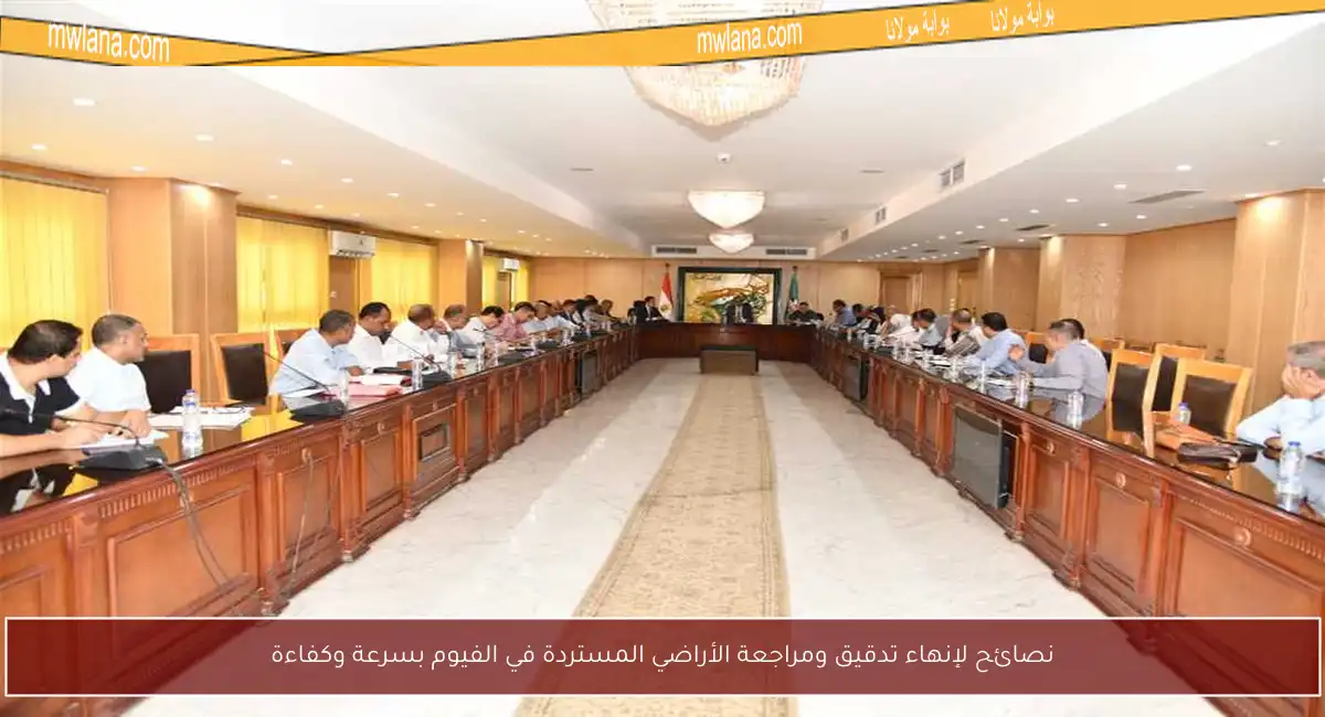 نصائح لإنهاء تدقيق ومراجعة الأراضي المستردة في الفيوم بسرعة وكفاءة
