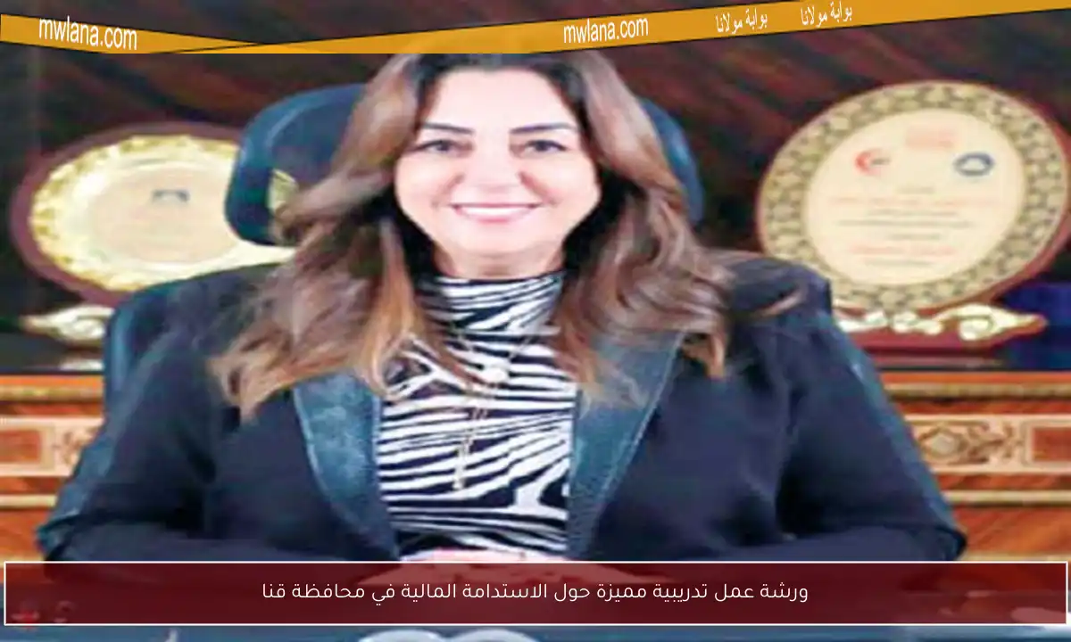 ورشة عمل تدريبية مميزة حول الاستدامة المالية في محافظة قنا