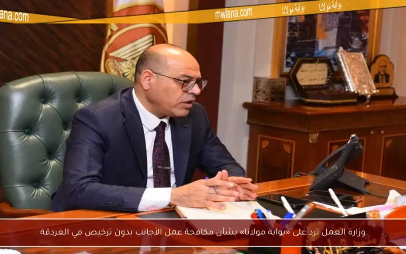 وزارة العمل ترد على «بوابة مولانا» بشأن مكافحة عمل الأجانب بدون ترخيص في الغردقة